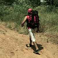 كيف تختار الطريق؟